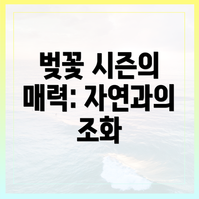 벚꽃 시즌의 매력: 자연과의 조화