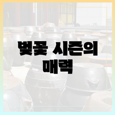 벚꽃 시즌의 매력