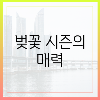 벚꽃 시즌의 매력