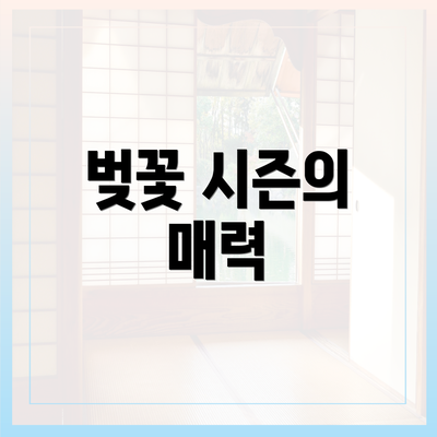 벚꽃 시즌의 매력