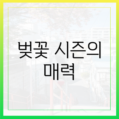 벚꽃 시즌의 매력