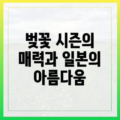 벚꽃 시즌의 매력과 일본의 아름다움