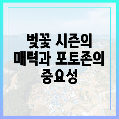 벚꽃 시즌의 매력과 포토존의 중요성