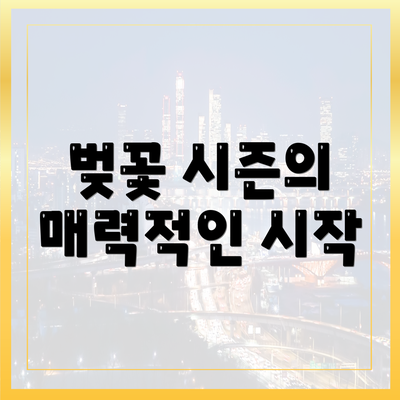 벚꽃 시즌의 매력적인 시작