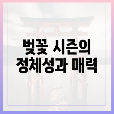 벚꽃 시즌의 정체성과 매력