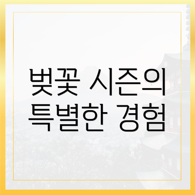 벚꽃 시즌의 특별한 경험