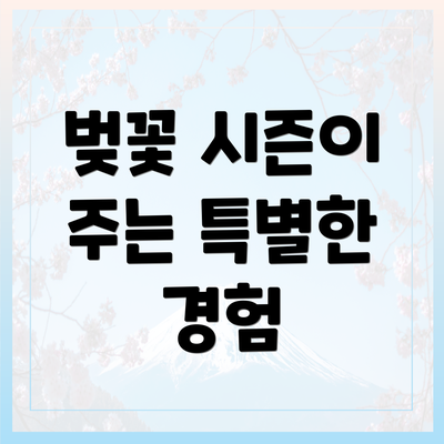 벚꽃 시즌이 주는 특별한 경험