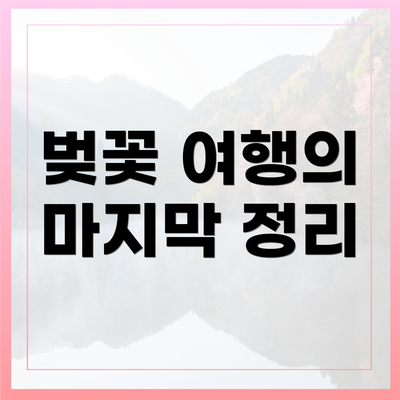 벚꽃 여행의 마지막 정리