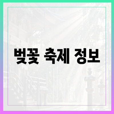 벚꽃 축제 정보