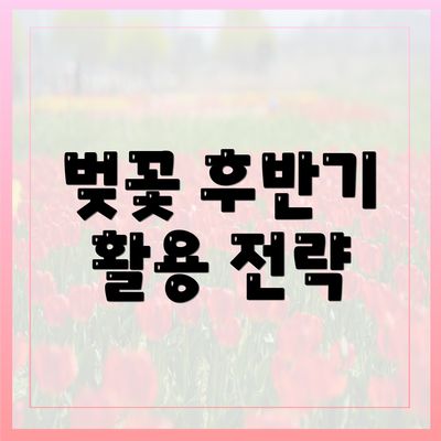 벚꽃 후반기 활용 전략