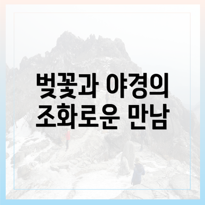 벚꽃과 야경의 조화로운 만남