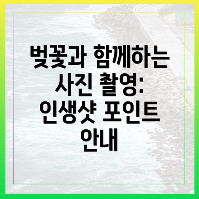 벚꽃과 함께하는 사진 촬영: 인생샷 포인트 안내