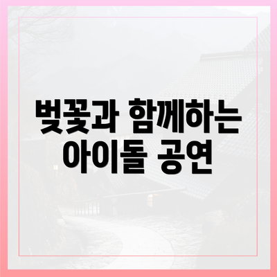 벚꽃과 함께하는 아이돌 공연