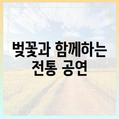 벚꽃과 함께하는 전통 공연
