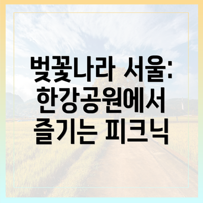 벚꽃나라 서울: 한강공원에서 즐기는 피크닉