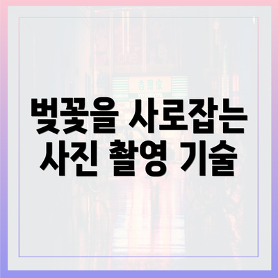 벚꽃을 사로잡는 사진 촬영 기술