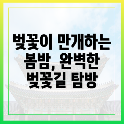 벚꽃이 만개하는 봄밤, 완벽한 벚꽃길 탐방