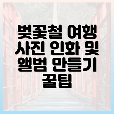 벚꽃철 여행 사진 인화 및 앨범 만들기 꿀팁