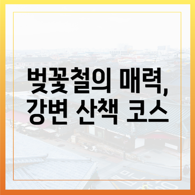 벚꽃철의 매력, 강변 산책 코스