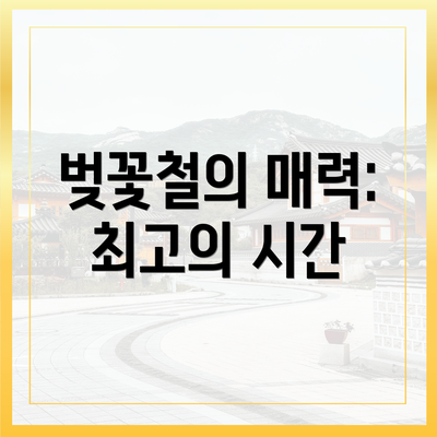 벚꽃철의 매력: 최고의 시간