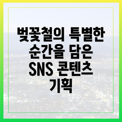 벚꽃철의 특별한 순간을 담은 SNS 콘텐츠 기획