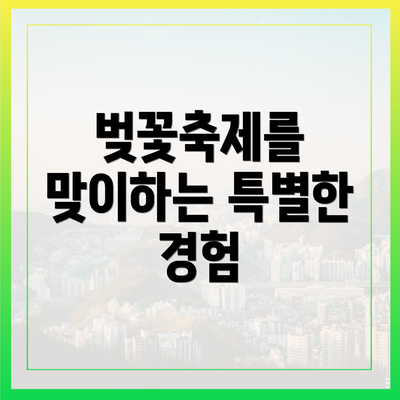 벚꽃축제를 맞이하는 특별한 경험