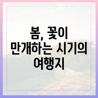 봄, 꽃이 만개하는 시기의 여행지