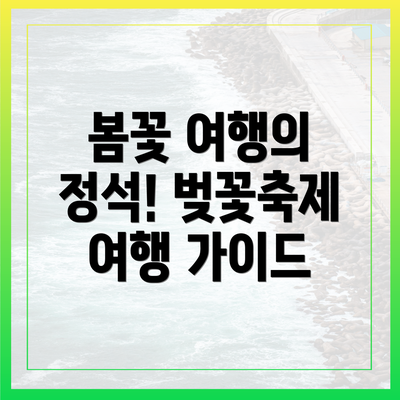 봄꽃 여행의 정석! 벚꽃축제 여행 가이드