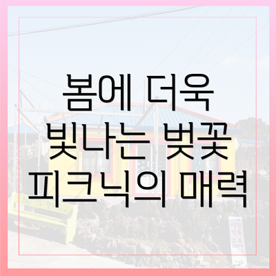 봄에 더욱 빛나는 벚꽃 피크닉의 매력