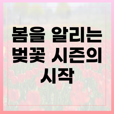 봄을 알리는 벚꽃 시즌의 시작