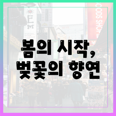 봄의 시작, 벚꽃의 향연