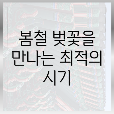 봄철 벚꽃을 만나는 최적의 시기