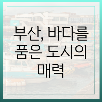부산, 바다를 품은 도시의 매력