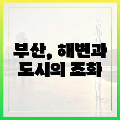 부산, 해변과 도시의 조화