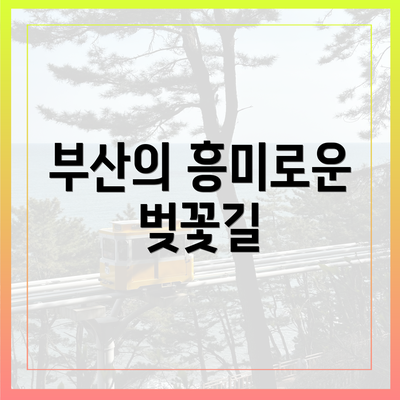 부산의 흥미로운 벚꽃길