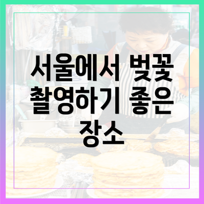 서울에서 벚꽃 촬영하기 좋은 장소
