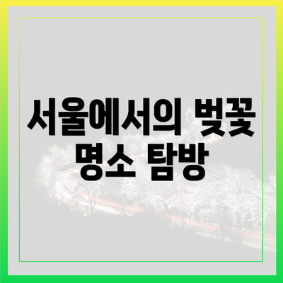 서울에서의 벚꽃 명소 탐방