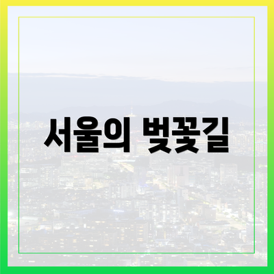 서울의 벚꽃길