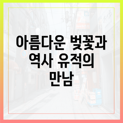 아름다운 벚꽃과 역사 유적의 만남