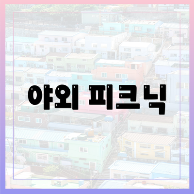 야외 피크닉