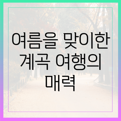 여름을 맞이한 계곡 여행의 매력