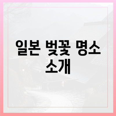 일본 벚꽃 명소 소개