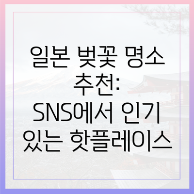 일본 벚꽃 명소 추천: SNS에서 인기 있는 핫플레이스