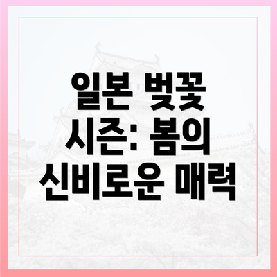일본 벚꽃 시즌: 봄의 신비로운 매력