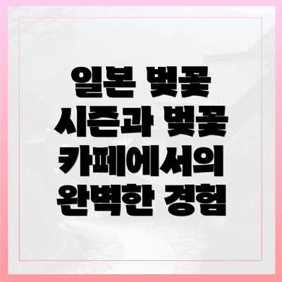 일본 벚꽃 시즌과 벚꽃 카페에서의 완벽한 경험