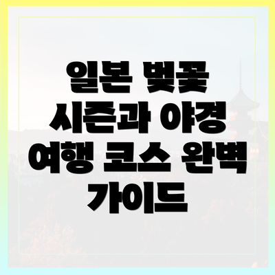 일본 벚꽃 시즌과 야경 여행 코스 완벽 가이드