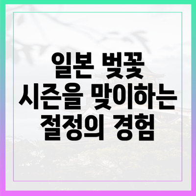 일본 벚꽃 시즌을 맞이하는 절정의 경험