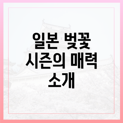 일본 벚꽃 시즌의 매력 소개