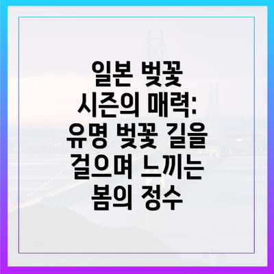 일본 벚꽃 시즌의 매력: 유명 벚꽃 길을 걸으며 느끼는 봄의 정수