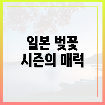 일본 벚꽃 시즌의 매력